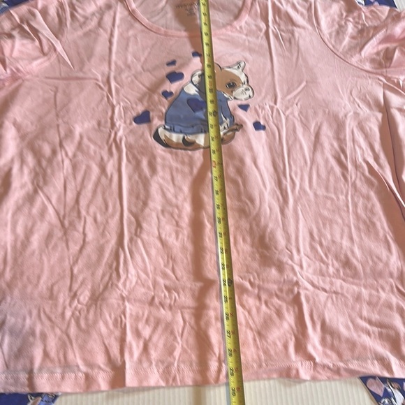 NWOT Dreams Co Pink & blue set Short Sleeve Tee with Graphic Design and bottoms - Picture 3 of 12